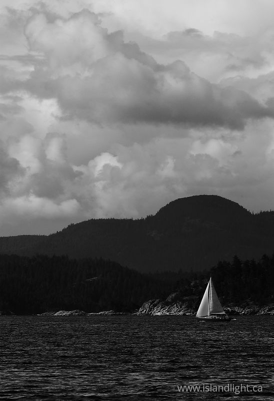   Sailing photo