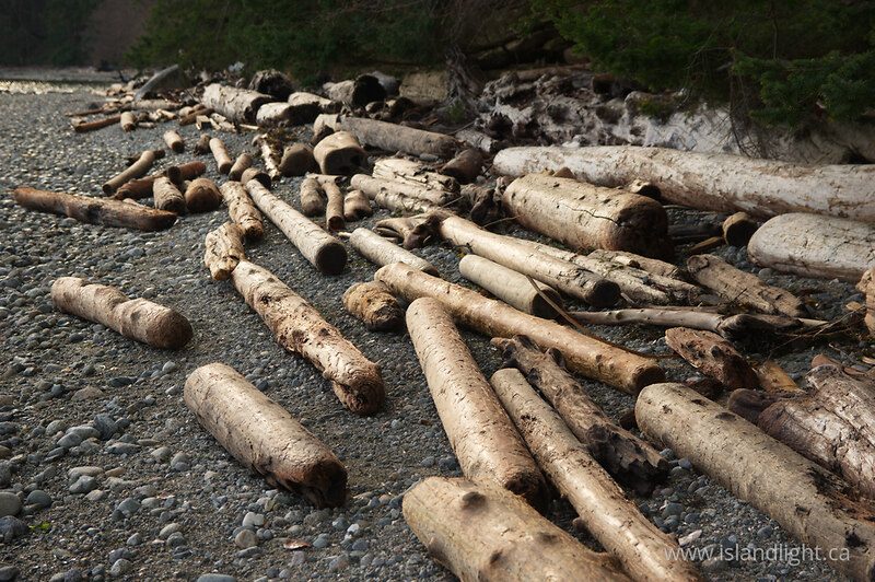   Shoreline photo