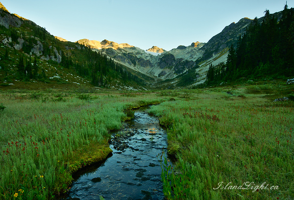 Looking Up The Brandywine ~ Alpine Meadow Photo from Brandywine Valley Canada.