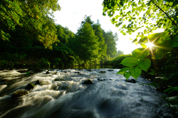 La Auberonne ~ River Photo from Aillevillers France.