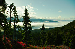 Above the Clouds - Vancouver Island Alpine Landscape photo