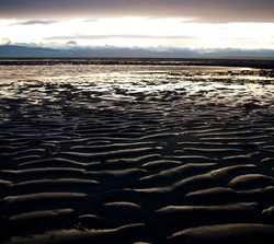 Beach - Cortes Island Beach photo