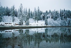 Winter Shorline -   photo