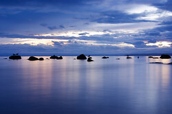 High Tide ~ Seascape  Photo from Cortes Island Canada.