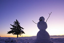 A Happy Snowman -  Snowman photo