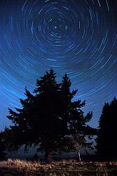 North Star -  Star photo