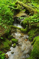 Climax Creek - Slocan Valley Creek photo