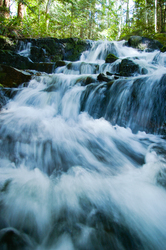  Cortes Island Creek photo