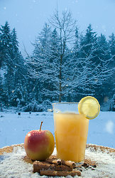 Christmas Cheer -   photo