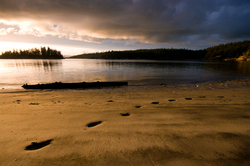 Footprints in the Sand - Cortes Island  photo