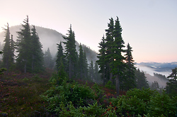 Predawn at Mount Washington - Mount Washington  photo