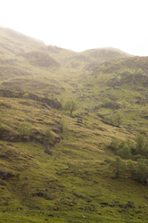  Scotland  photo