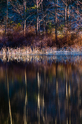 Waters Edge - Cortes Island  photo