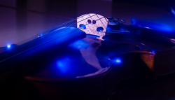 Violin  -  Musical Instrument photo