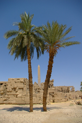 Obelisk  - Karnak Obelisk photo