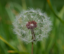 Waiting for Wind III -   photo