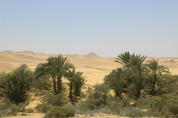 Bent Pyramid - Saqqara Pyramid photo