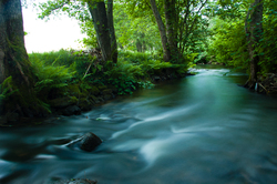  Aillevillers River photo