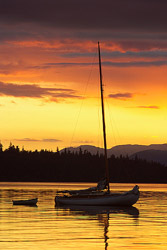  Cortes Island Sailboat photo