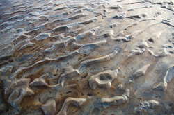  Cortes Island Sand photo