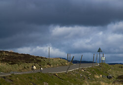 Watch For Livestock - Scotland Sheep photo