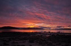 Great Blue Heron Watching the Sunrise - Cortes Island Sunrise photo