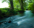 Aillevillers River photo