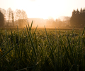 Aillevillers Landscape  photo