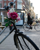 Amsterdam Cityscape photo
