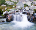 Brandywine Valley Alpine creek photo