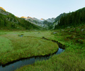 Brandywine Valley Alpine Meadow photo