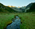 Brandywine Valley Alpine Meadow photo