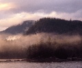Morning Mist - Wilderness photo from  Broughton Archipelago BC, Canada