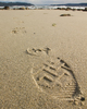 Cortes Island Beach photo