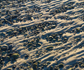 Cortes Island Beach photo