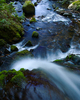 Cortes Island Creek photo