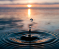 Cortes Island Droplet photo