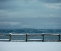 Cortes Island Fence photo