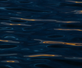 Cortes Island Reflection photo