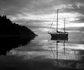 Cortes Island Boating  photo