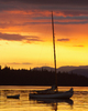 Cortes Island Sailboat photo