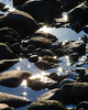 Cortes Island Seashore  photo