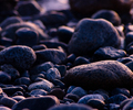 Cortes Island Shoreline photo