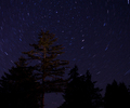 Cortes Island Landscape  photo