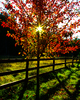 Cortes Island Sunrise photo