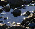 Cortes Island Landscape  photo