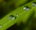 Aillevillers Droplet photo