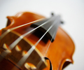 Mansons Landing Fiddle photo