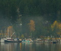 Quadra Island Harbour photo