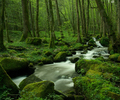 Route de Plombiers Creek photo